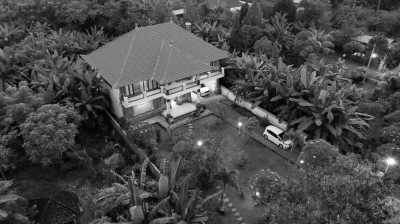 Indonesia - Lovina Beach - Bali: Work. Swim. Watch Dolphins. Repeat. - 7