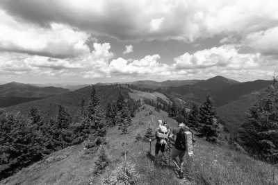 Slowakei - Horsky Hotel Kralova studna - Wilderness and Tranquility: Hiking Adventure in Great Fatra National Park in Slovakia - 12