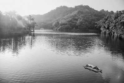 Tanzania - Magoroto Forest Estate - An Incredible 12 Days trip in Tanzania Safari and Mount Kilimanjaro