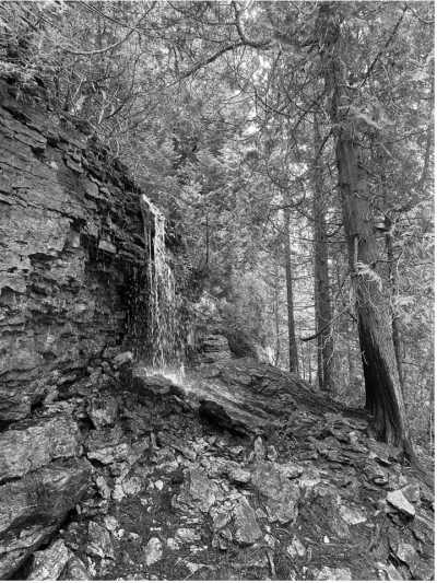 Canada - Dyer's Bay - 🌲 Hiking Escape to the BRUCE PENINSULA: Explore Georgian Bay & the Bruce Trail in Ontario - 2