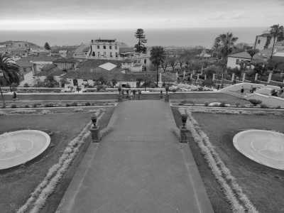 Spain - The Tree House Hostel - Visit Tenerife ⛰️ eat canarian food 🍽️ and see the natural wonders of the island 📍 - 2