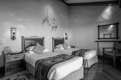 Tansania - Ngorongoro Crater - Tanzania Safari - Single Private room (1pax) - 8