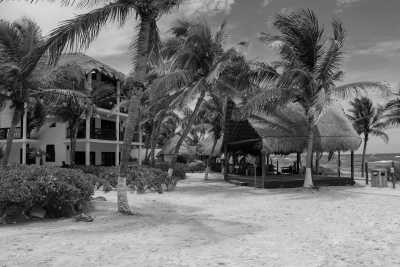 Mexico - Tulum - Tulum Reset: Co-Living with Remote Work, Fitness & Growth (2–6 Weeks) - 4