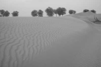 United Arab Emirates - Sharjah - UAE Adventure: 4-Day Small-Group Tour of Dubai. Authentic Exploration of Nature, Desert and Culture. - 5