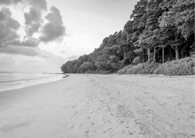 India - Swaraj Dweep - Andaman Voyage: Explore India's Tropical Treasures