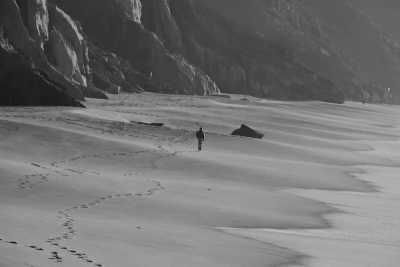 Brazil - Silveira Beach - Into the Wild: Brazil’s Southern Jungle Adventure with a Local - 2