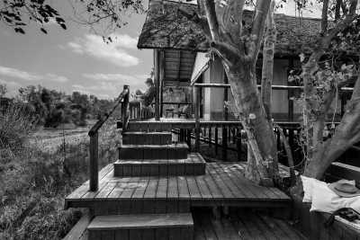 Sub-Saharan Africa - Pafuri Border Rest Camp - Wilderness Expedition: Discovering Kruger's Hidden Gems