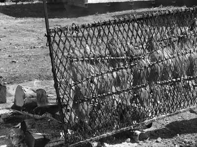 Canada - UBC Farm - Indigenous Learning in Western Canada - 7