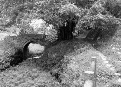 Japan - Hantagawa Park - Discover Japan - Okinawa, Naha & Kume Island Adventure