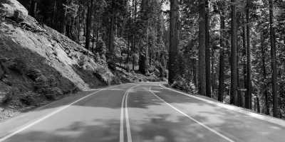 United States - Sequoia National Park - USA ROAD TRIP: Route 66, from Chicago to Santa Monica and the Californian dream, from San Diego to San Francisco, via the great National Parks! - 4