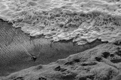 Brazil - Silveira Beach - Into the Wild: Brazil’s Southern Jungle Adventure with a Local - 1