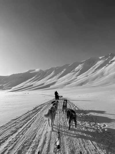 Svalbard - Longyearbyen - SVALBARD - THE NORTH IS CALLING - 6