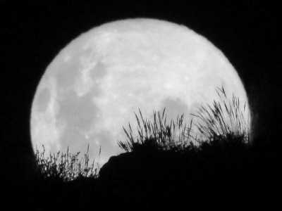 South Africa - Sutherland - Entdecke Südafrika: Das Kap, der Wein, gutes Essen und der Rooibos - 2