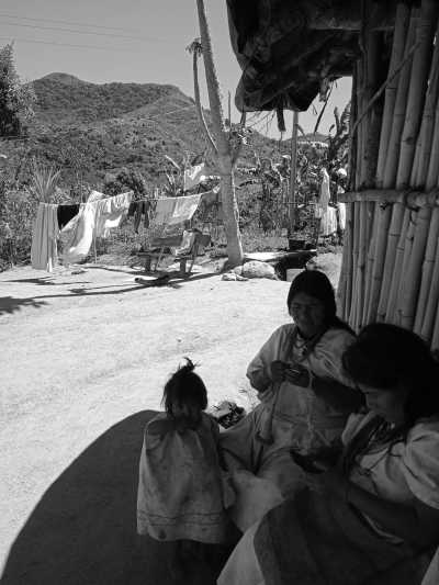 Colombia - Pueblo Bello - Colombia Guided Trip: Nabusimake,  Sierra Nevada de Santa Marta Trekking in a Coffe Finca of a Mamo Elois - 5