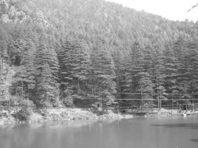 India - Church of St. John in the Wilderness - Dharamshala Mcleodganj Trip: Your Gateway to Mini Tibet, India 🏯 - 2