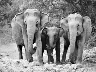 Sri Lanka - Tissamaharama - Tropical Roundtrips: Discovering Sri Lanka's Wonders - 9