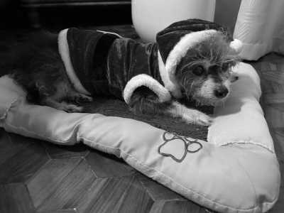 Philippines - Legazpi City - Exploring the Volcano Beauty of Legazpi, Albay, Philippines - 2