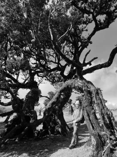 Portugal - Fanal Forest - Hikes, local food, swimming with dolphins 🌅 The Ultimate Adventure in Madeira, Portugal🏄‍♂️ - 1