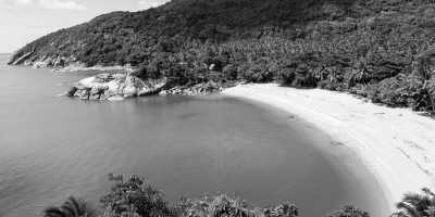 Thailand - Phi Phi Islands - All Inclusive - The ultimate Thailand Experience: All-inclusive trip to Bangkok, Koh Tao, Khao Sok, Ao Nang,  and Phi Phi Islands. - 3