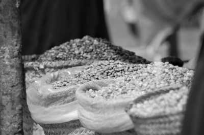 Tanzania - Stone Town - Zanzibar: Co-Working in Paradise 🐚💻 (private rooms)