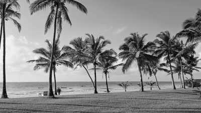 Kenia - Diani - Backpack the Kenyan Swahili Coast - 2