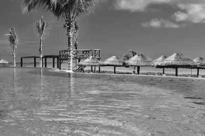 Mexico - Playa del Carmen - GIRLS ONLY Playa del Carmen Trip: Snorkel in Cenotes, Zipline Through the Rainforest, Party on the Beach, Explore Archaeological Sites, Throw Axes, and MORE! - 8