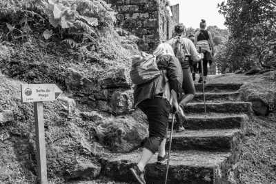 Portugal - Faial da Terra - Azores Nature Immersion 🥾 - 2