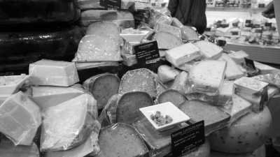 Netherlands - Volendam - Amsterdam Exploration and Dutch Nature Discovery: Local Guide and 2 Huskies - 4