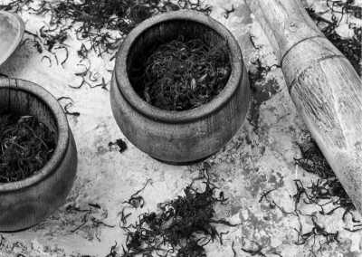 Morocco - Taliouine - Experience Morocco's Best Adventure: Surfing, Camel Riding, and Camping under the Stars