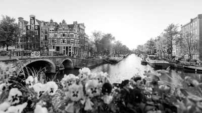 Netherlands - Amsterdam Dream + Professional Portraits Captured During Your Trip - Let's explore it's unique canals, countryside & city vibes - JoinMyTrip