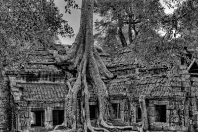 South-eastern Asia - Angkor Wat - Vietnam 🇻🇳 and Cambodia 🇰🇭 Trip: 12 Days of Nature 🌄 Culture🛕 and Landscape Await 🌅 - 3