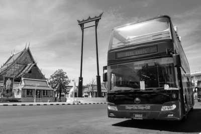 Thailand - Elephant Go Go Co., Ltd. - The Thailand Trip to Remember-Temple of the Emerald Buddha, Pattaya Beach, and Sanctuary of Truth