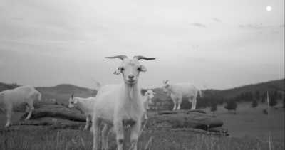 Rumänien - Grădiștea de Munte - Reiten & Yoga - eine Pferdereise durch Rumänien - 2