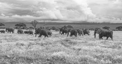 World - Tanzania - 30 Days around the world