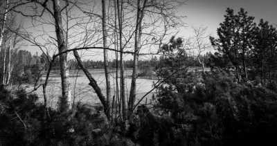 Deutschland - Wildseemoor - Step into the Flow | Hohenzollern Castle | Sankenbach Lake & Falls | Black Forest | 3 days - 1