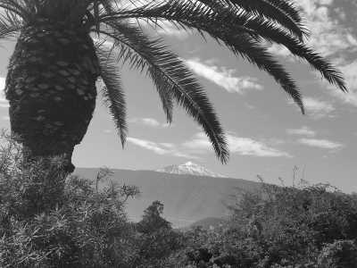 Spain - El Médano - Discover Tenerife's Hidden Gems on a Guided Trip Off the Beaten Track - 1