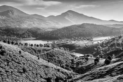 India - VALARA WATERFALLS - 4-Day Munnar to Alleppey Itinerary: Discover the Best of India's Backwaters - 1