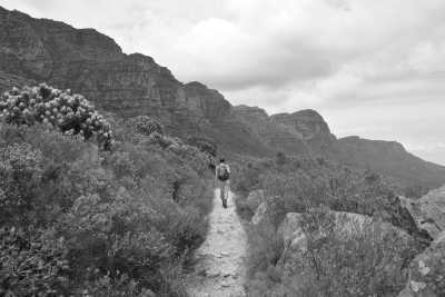 South Africa - Cape Town - Cape Town and the Garden Route 🇿🇦 Explore South Africa with a Local - 6