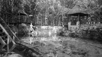 Mexico - Cenote Zacil-Ha - Explore the Natural Wonders of Cancun, Mexico