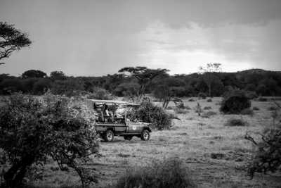 Tanzania - Serengeti - Tanzania Wilderness – Unique Experience – ALL INCLUSIVE - 1