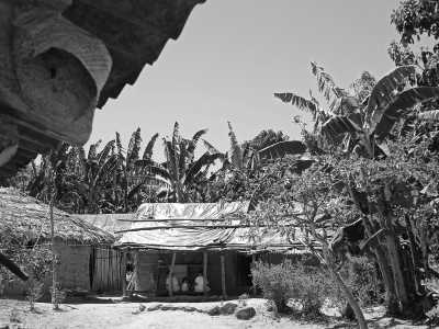 Colombia - Pueblo Bello - Colombia Guided Trip: Nabusimake,  Sierra Nevada de Santa Marta Trekking in a Coffe Finca of a Mamo Elois - 7