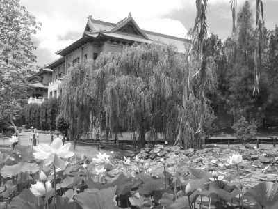 Australia - Fo Guang Shan Nan Tien Temple - Immerse in Wollongong's Laid-Back Lifestyle and Stunning Scenery in Australia