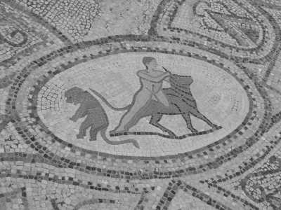 Morocco - Conservation du site Archéologique de volubilis - Marokko Rundreise - Entdecke die Königstädte und Wüste - 7