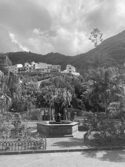 Spain - Buenavista del Norte - 🏄🏽‍♂️  Surf I Hike & Beach - Come to Canarias and escape winter! 🌴☀️🧘🏼‍♂️ - 7