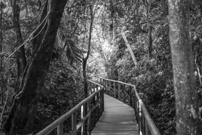 Costa Rica - Manuel Antonio - Best of Guanacaste Costa Rica - 4