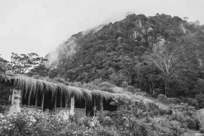 Sri Lanka - Haputale - Explore Sri Lanka in LUXURY!! Stunning Beaches, Mountains, Waterfalls and Jungles I 15 Days - 2