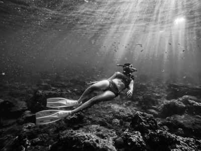 Vietnam - Sơn Trà - City Lights and Ocean Breezes: Your Perfect 3-Day Da Nang Getaway - 3