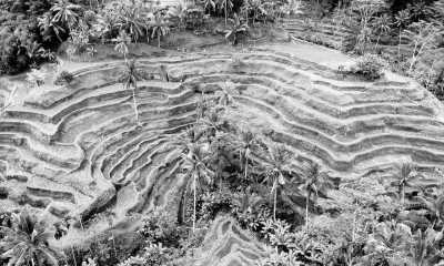 Indonesia - Ubud - 10-Day Bali, Indonesia Adventure: Create Unforgettable Memories in the Island Paradise - 3