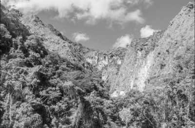 Bolivien - Parque Nacional Madidi - Work and travel in South America - Volunteer in an Animal Sanctuary in Bolivia - 7