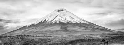 Ecuador - Cotopaxi - Join on a backpacking adventure: Amazonas, Volcanoes and the majestic Andes in Ecuador